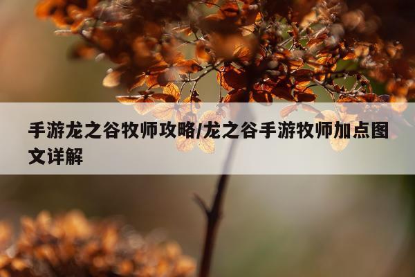 手游龙之谷牧师攻略/龙之谷手游牧师加点图文详解