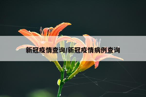 新冠疫情查询/新冠疫情病例查询