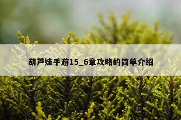 葫芦娃手游15_6章攻略的简单介绍