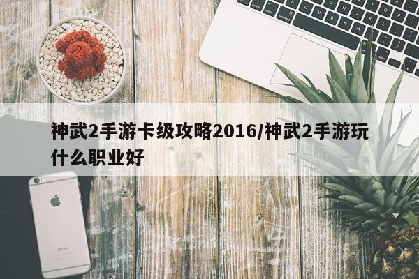 神武2手游卡级攻略2016/神武2手游玩什么职业好