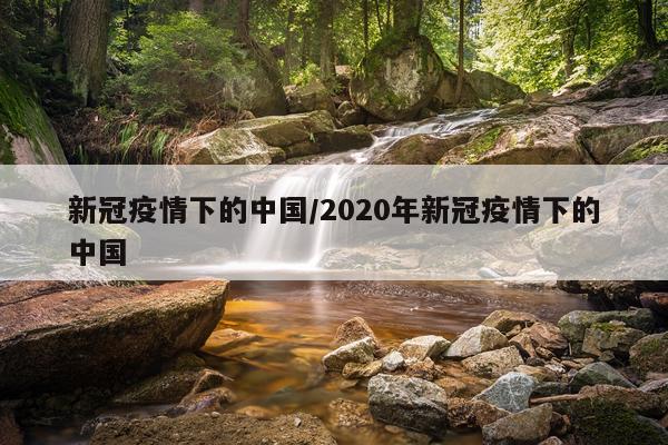 新冠疫情下的中国/2020年新冠疫情下的中国