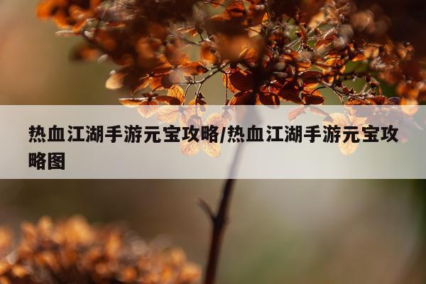 热血江湖手游元宝攻略/热血江湖手游元宝攻略图