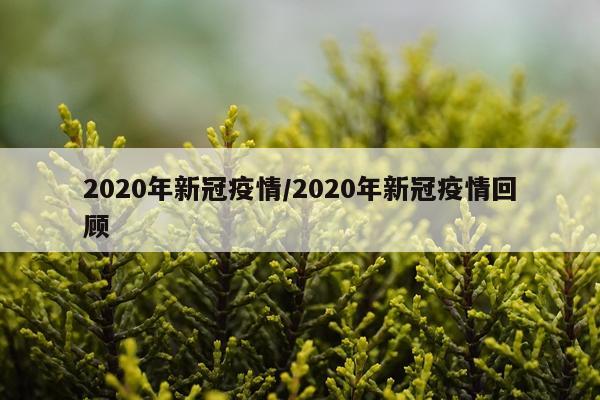 2020年新冠疫情/2020年新冠疫情回顾