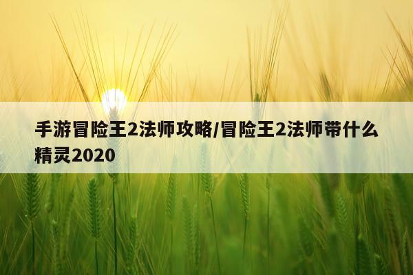 手游冒险王2法师攻略/冒险王2法师带什么精灵2020