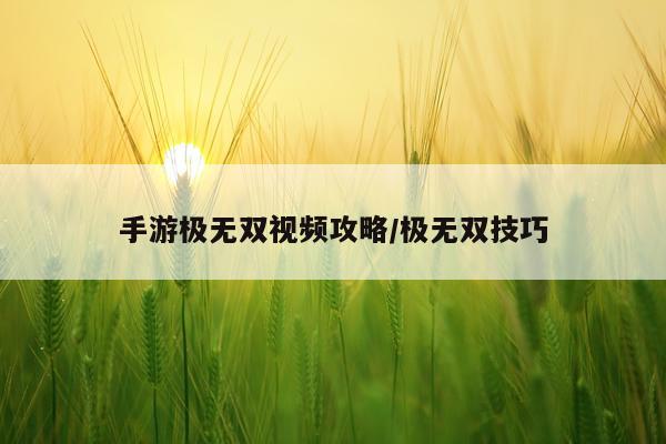 手游极无双视频攻略/极无双技巧