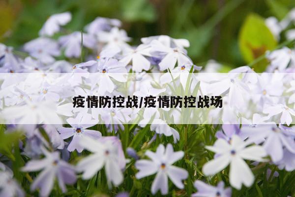 疫情防控战/疫情防控战场