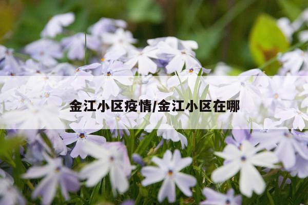 金江小区疫情/金江小区在哪