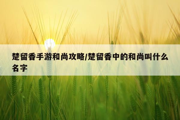 楚留香手游和尚攻略/楚留香中的和尚叫什么名字