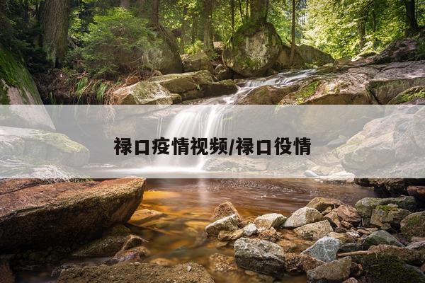 禄口疫情视频/禄口役情
