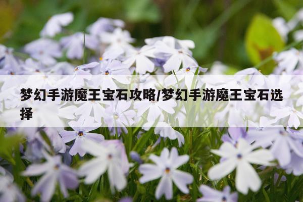 梦幻手游魔王宝石攻略/梦幻手游魔王宝石选择