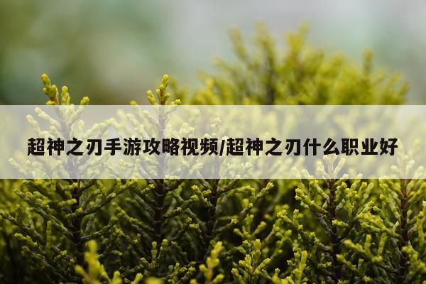 超神之刃手游攻略视频/超神之刃什么职业好