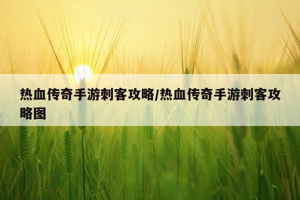 热血传奇手游刺客攻略/热血传奇手游刺客攻略图