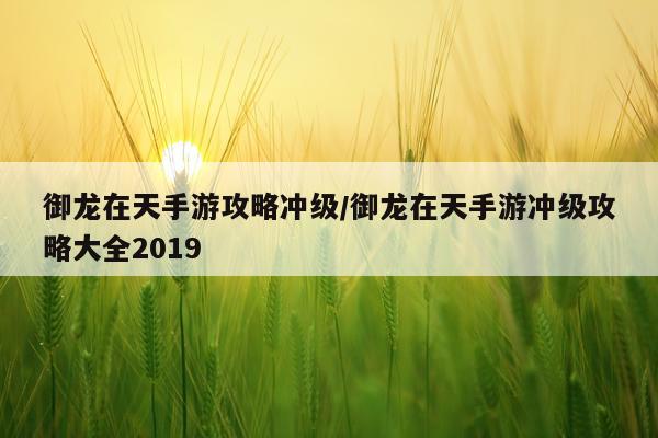 御龙在天手游攻略冲级/御龙在天手游冲级攻略大全2019