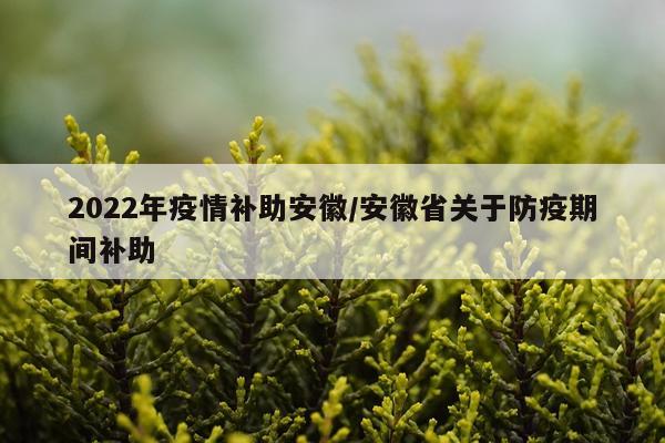 2022年疫情补助安徽/安徽省关于防疫期间补助