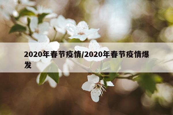 2020年春节疫情/2020年春节疫情爆发