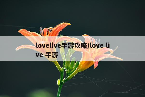 lovelive手游攻略/love live 手游