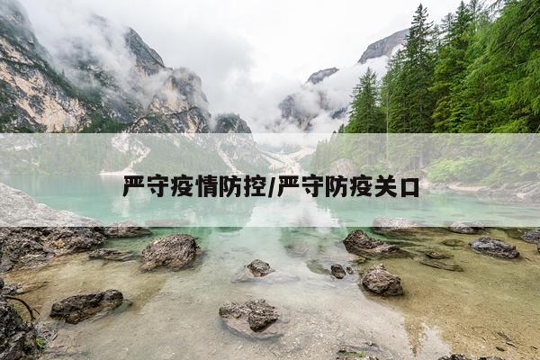 严守疫情防控/严守防疫关口