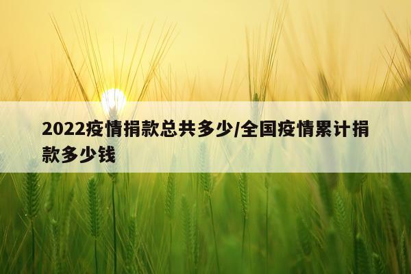 2022疫情捐款总共多少/全国疫情累计捐款多少钱