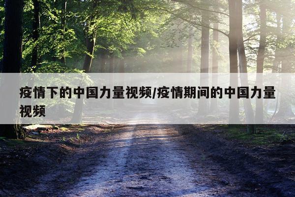 疫情下的中国力量视频/疫情期间的中国力量视频