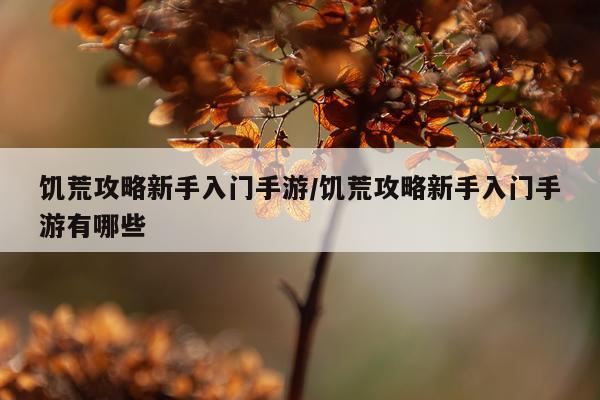饥荒攻略新手入门手游/饥荒攻略新手入门手游有哪些