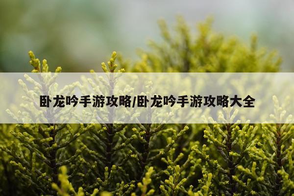 卧龙吟手游攻略/卧龙吟手游攻略大全