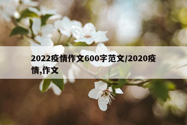 2022疫情作文600字范文/2020疫情,作文