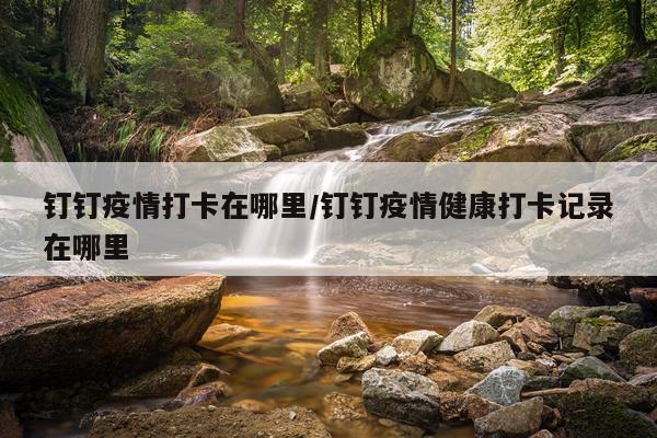 钉钉疫情打卡在哪里/钉钉疫情健康打卡记录在哪里
