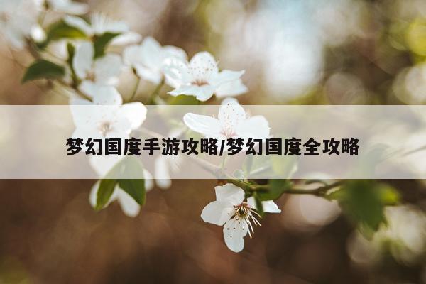 梦幻国度手游攻略/梦幻国度全攻略