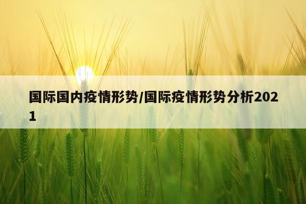 国际国内疫情形势/国际疫情形势分析2021