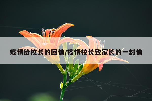 疫情给校长的回信/疫情校长致家长的一封信