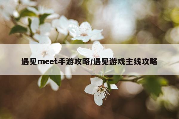 遇见meet手游攻略/遇见游戏主线攻略