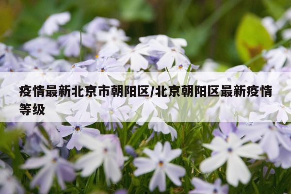 疫情最新北京市朝阳区/北京朝阳区最新疫情等级
