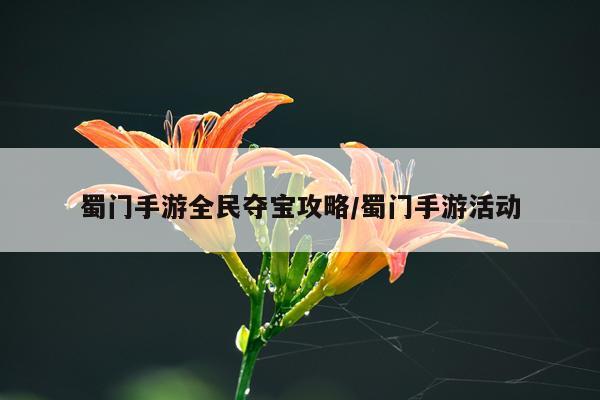 蜀门手游全民夺宝攻略/蜀门手游活动