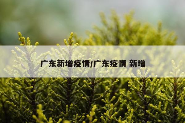广东新增疫情/广东疫情 新增