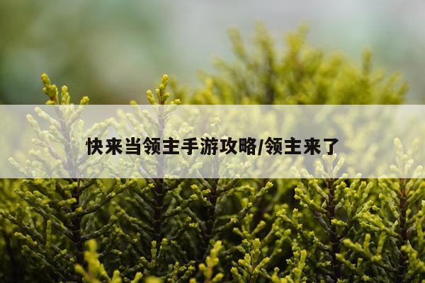 快来当领主手游攻略/领主来了