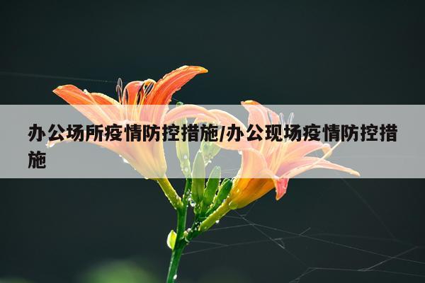 办公场所疫情防控措施/办公现场疫情防控措施