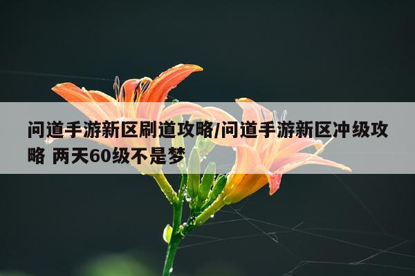 问道手游新区刷道攻略/问道手游新区冲级攻略 两天60级不是梦