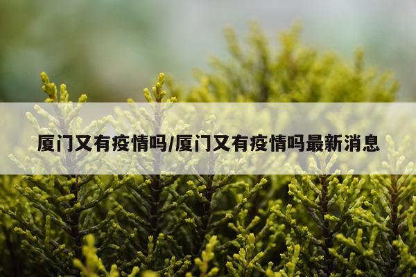 厦门又有疫情吗/厦门又有疫情吗最新消息