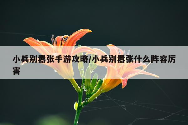 小兵别嚣张手游攻略/小兵别嚣张什么阵容厉害