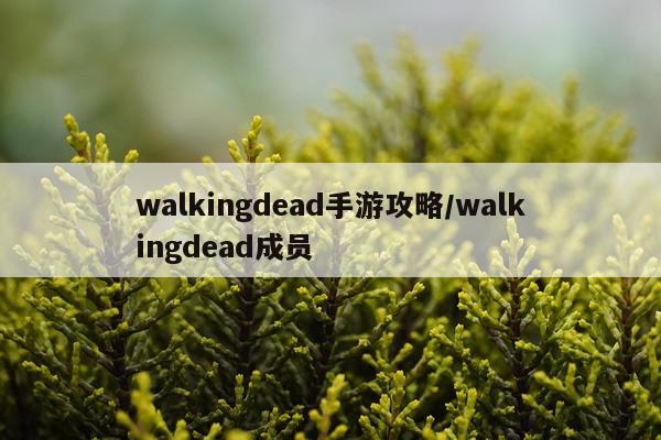 walkingdead手游攻略/walkingdead成员
