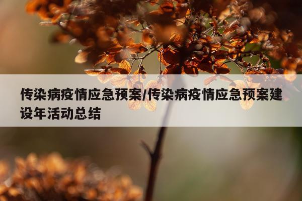 传染病疫情应急预案/传染病疫情应急预案建设年活动总结