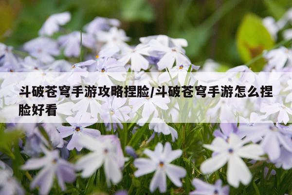 斗破苍穹手游攻略捏脸/斗破苍穹手游怎么捏脸好看
