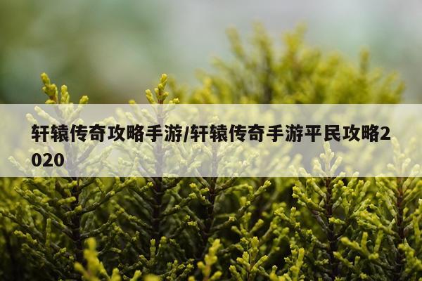 轩辕传奇攻略手游/轩辕传奇手游平民攻略2020