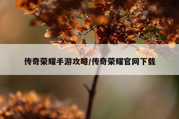 传奇荣耀手游攻略/传奇荣耀官网下载
