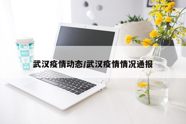 武汉疫情动态/武汉疫情情况通报
