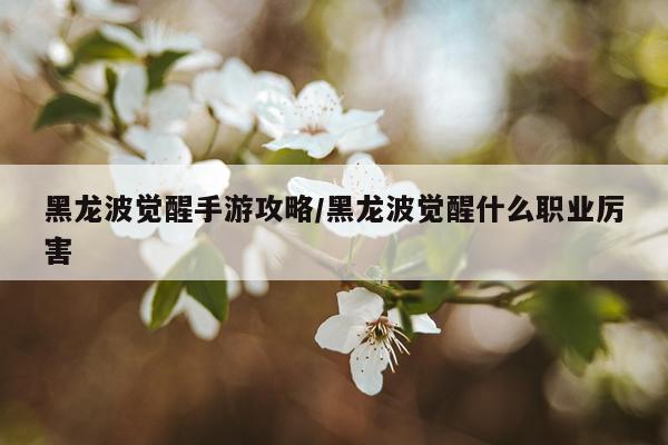 黑龙波觉醒手游攻略/黑龙波觉醒什么职业厉害