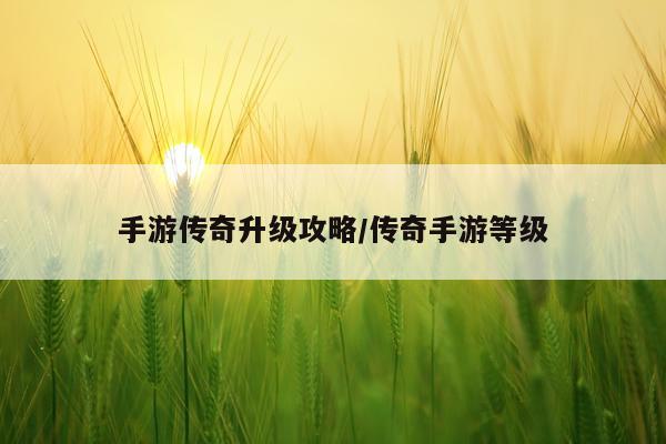 手游传奇升级攻略/传奇手游等级