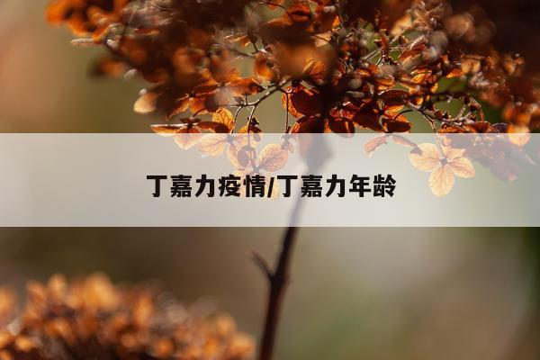 丁嘉力疫情/丁嘉力年龄