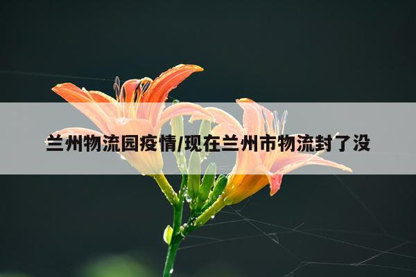 兰州物流园疫情/现在兰州市物流封了没
