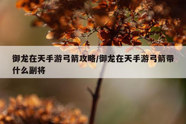 御龙在天手游弓箭攻略/御龙在天手游弓箭带什么副将